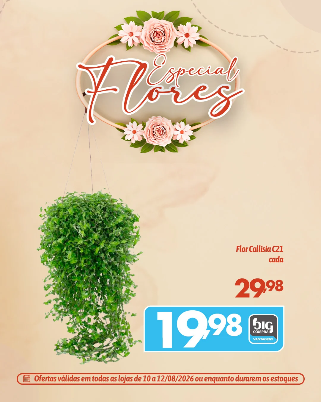 Ofertas Supermercados Big Compra