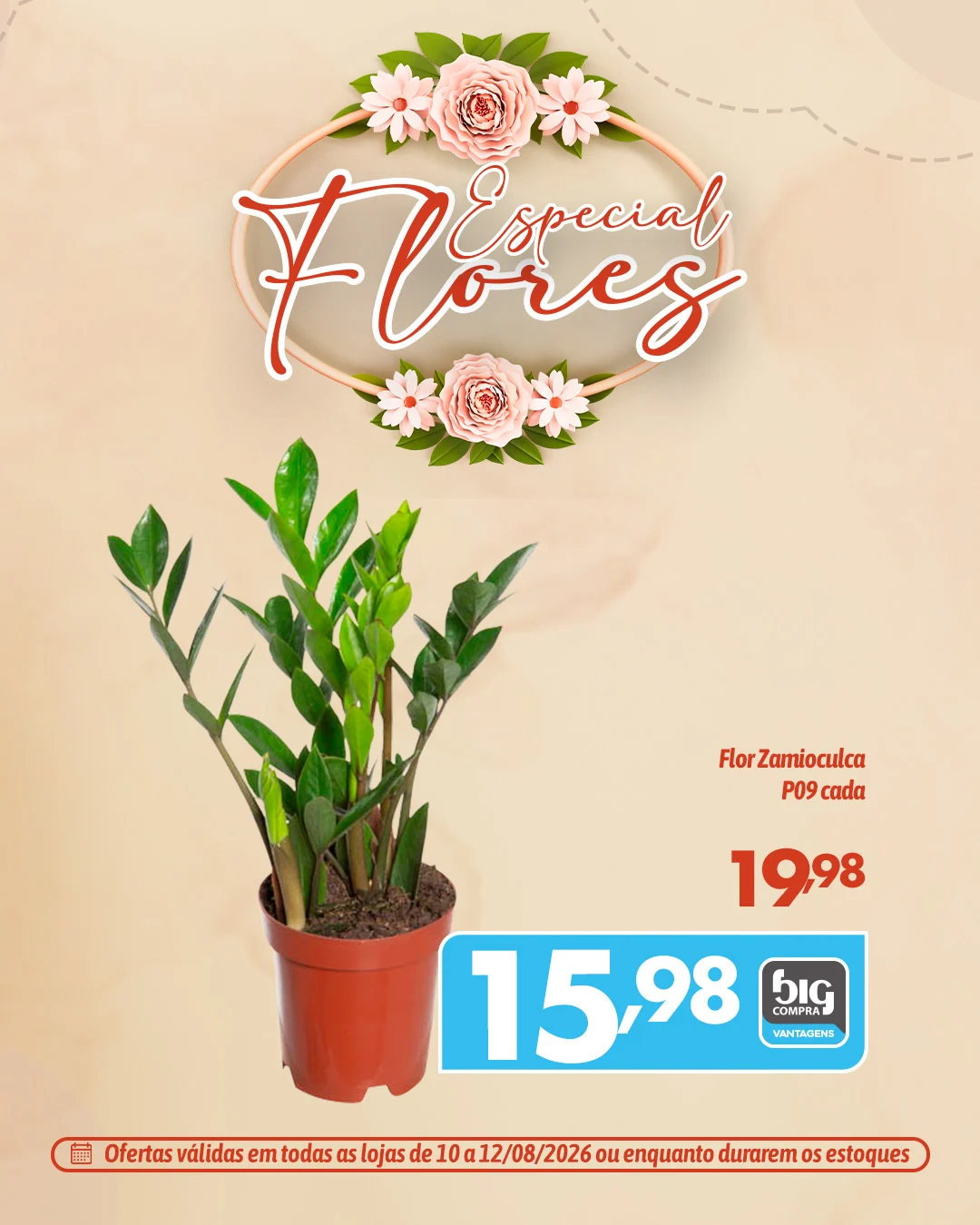 Ofertas Supermercados Big Compra