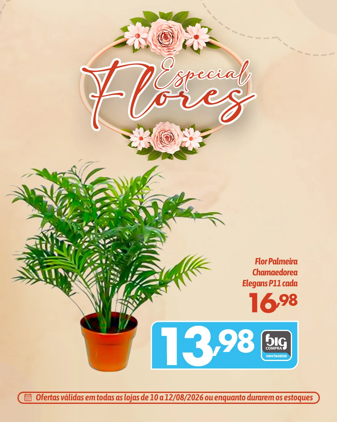 Ofertas Supermercados Big Compra