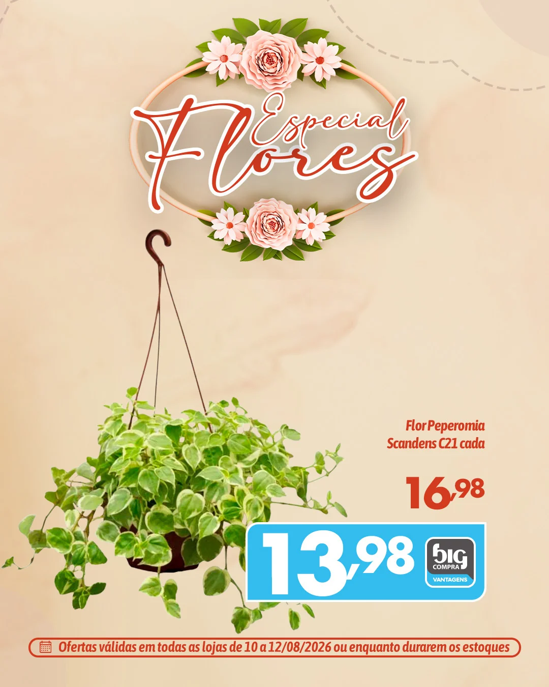Ofertas Supermercados Big Compra