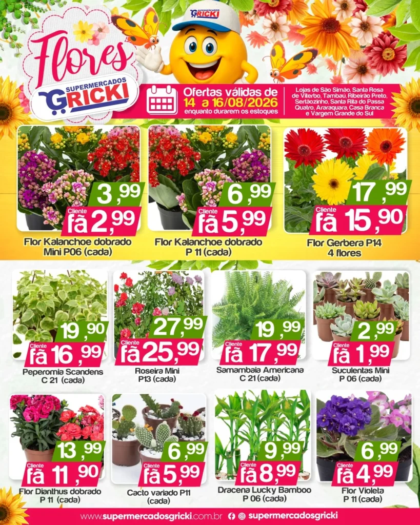 Ofertas Supermercados Gricki – 16/08/2026