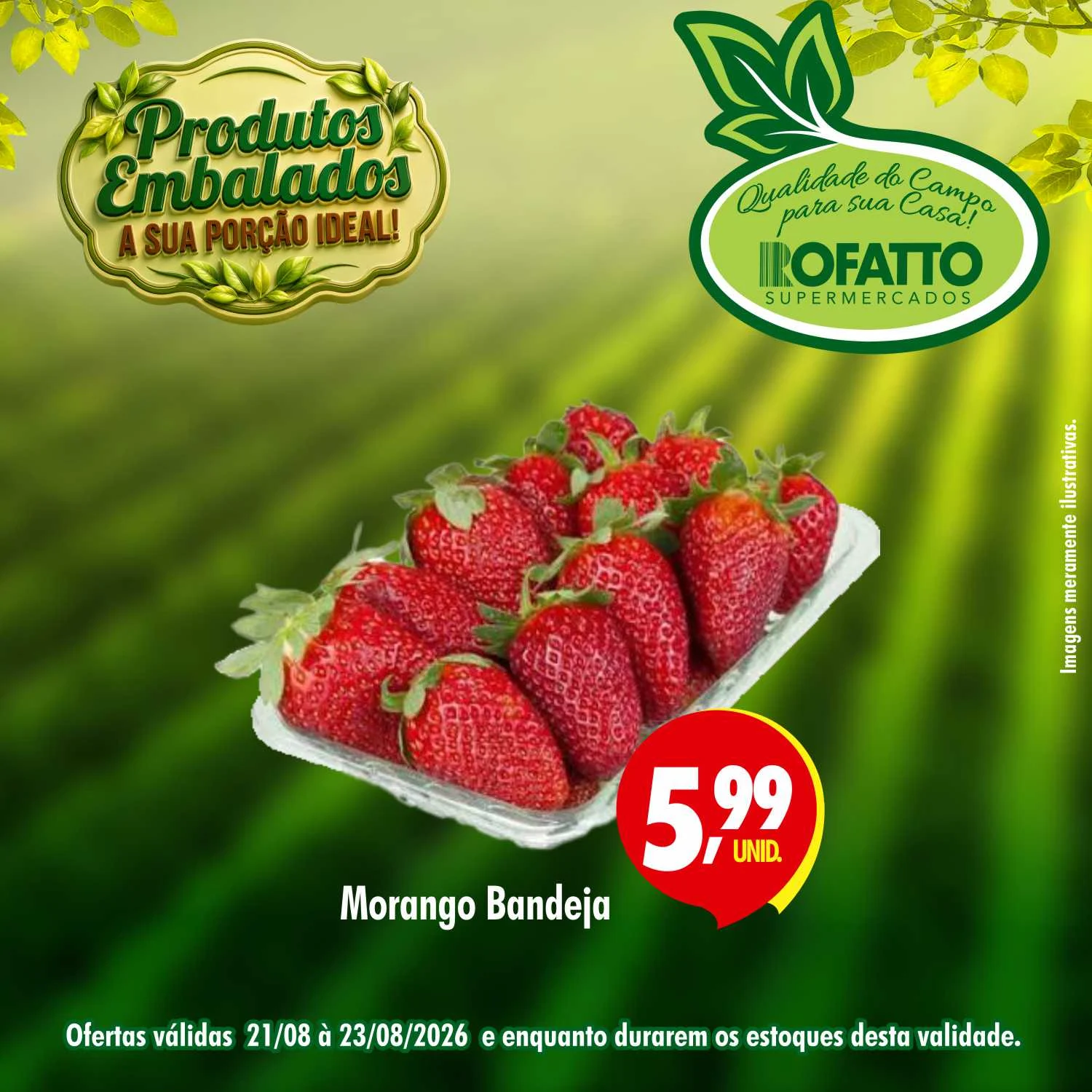 Ofertas Rofatto Supermercados