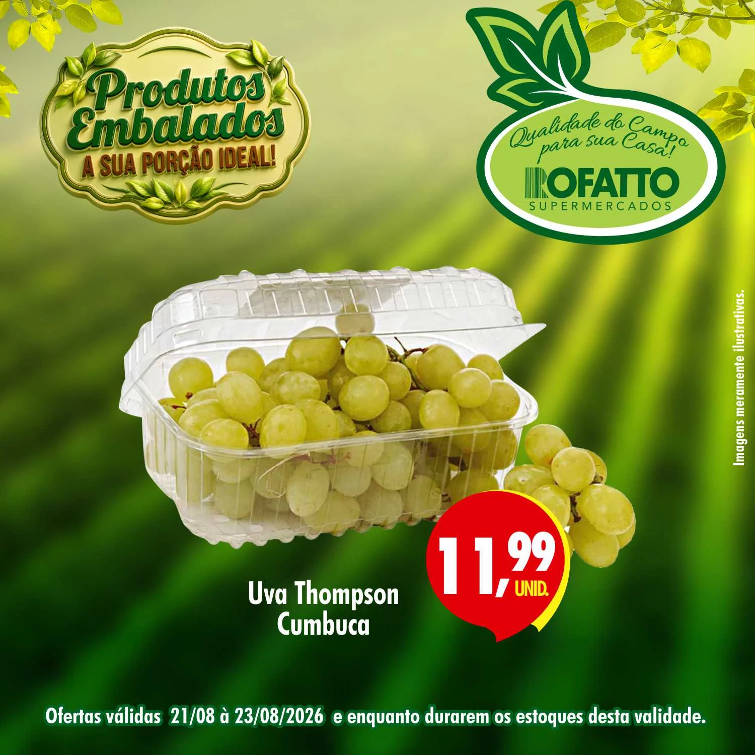 Ofertas Rofatto Supermercados