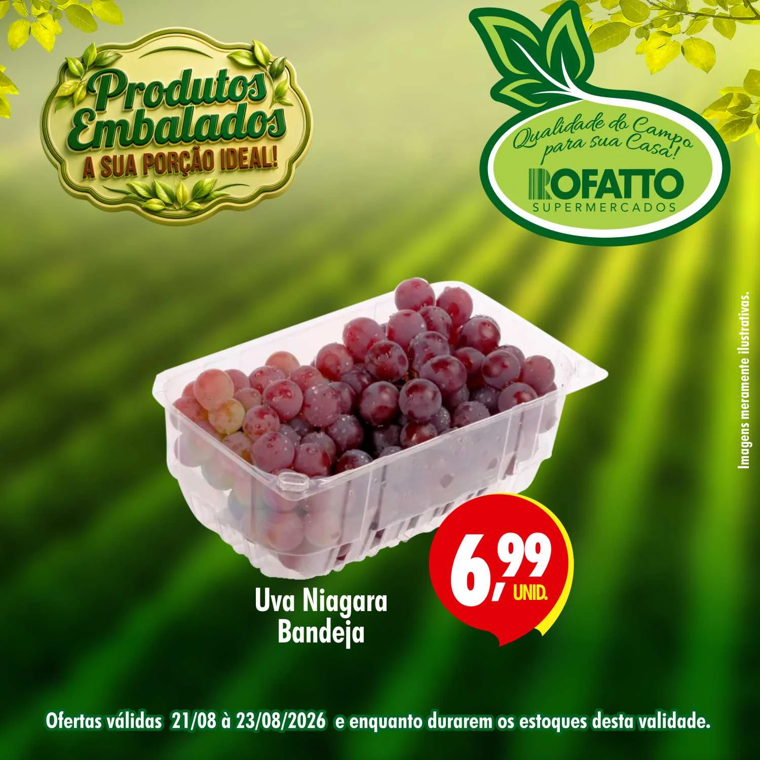 Ofertas Rofatto Supermercados