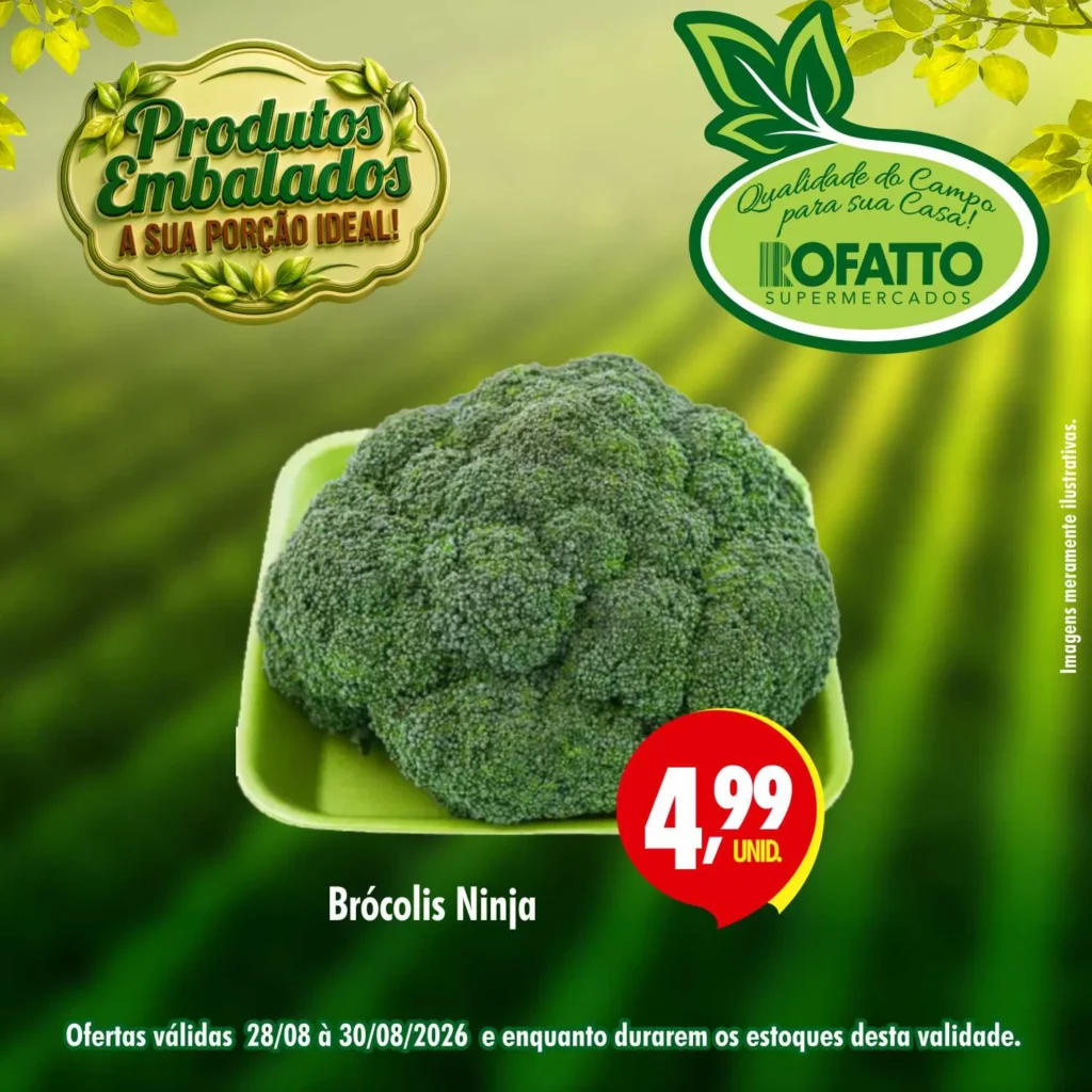 Ofertas Rofatto Supermercados – 30/08/2026