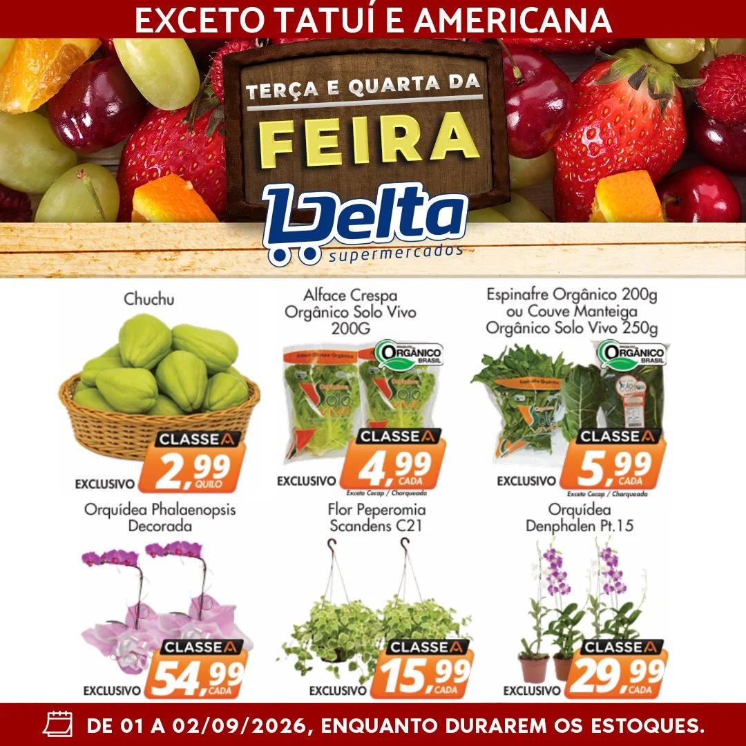Ofertas Delta Supermercados