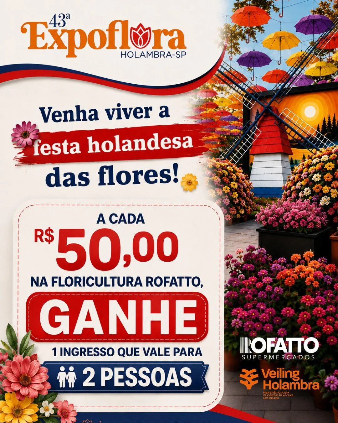 Ofertas Rofatto Supermercados – 01/09/2026