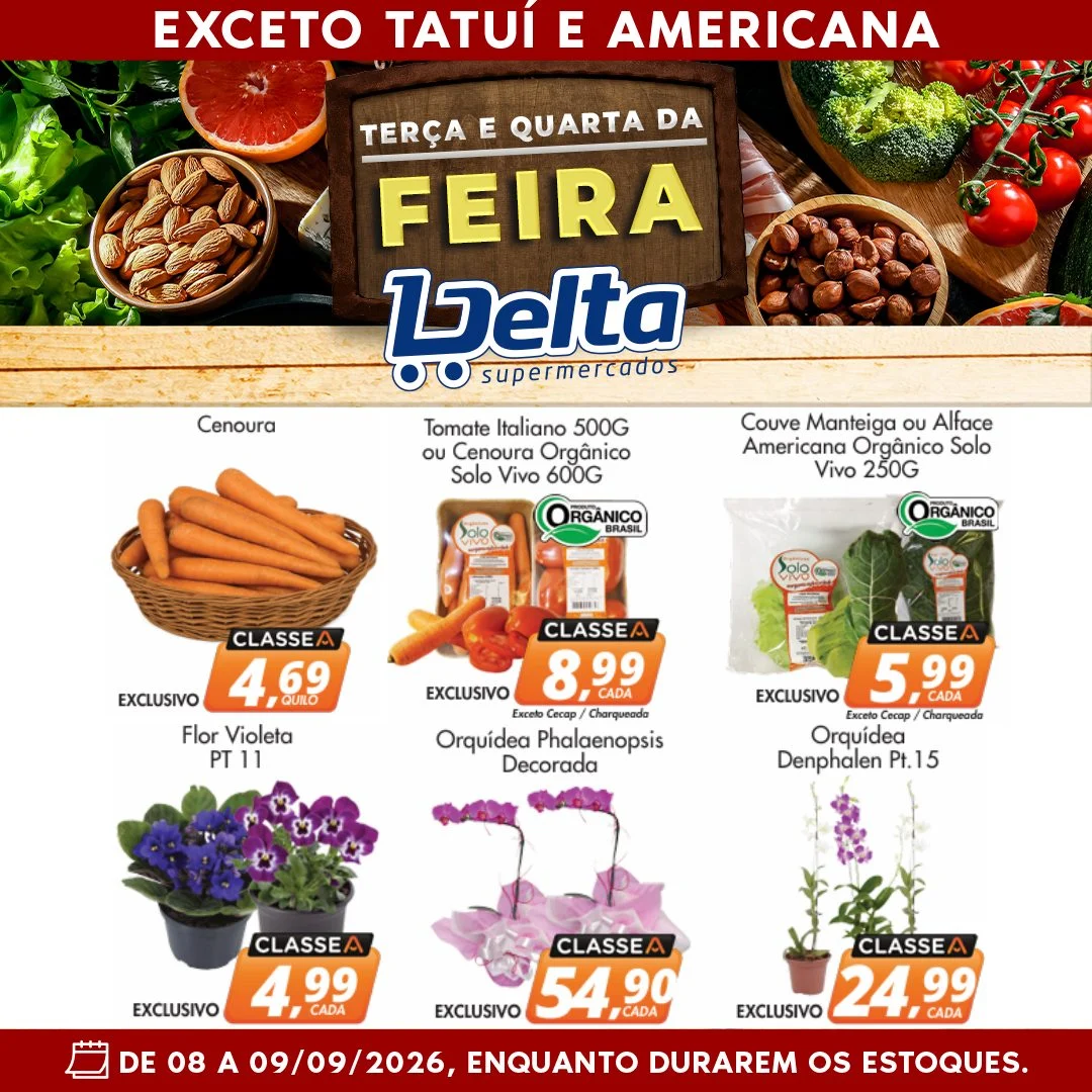 Ofertas Delta Supermercados
