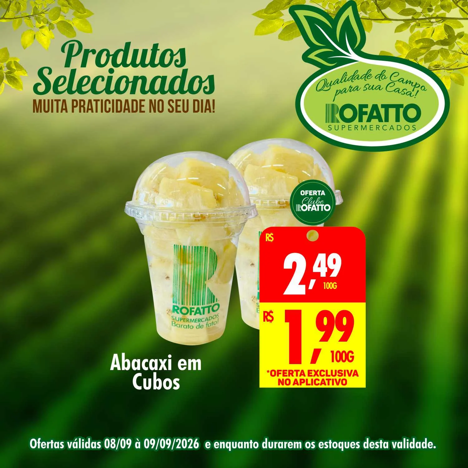 Ofertas Rofatto Supermercados