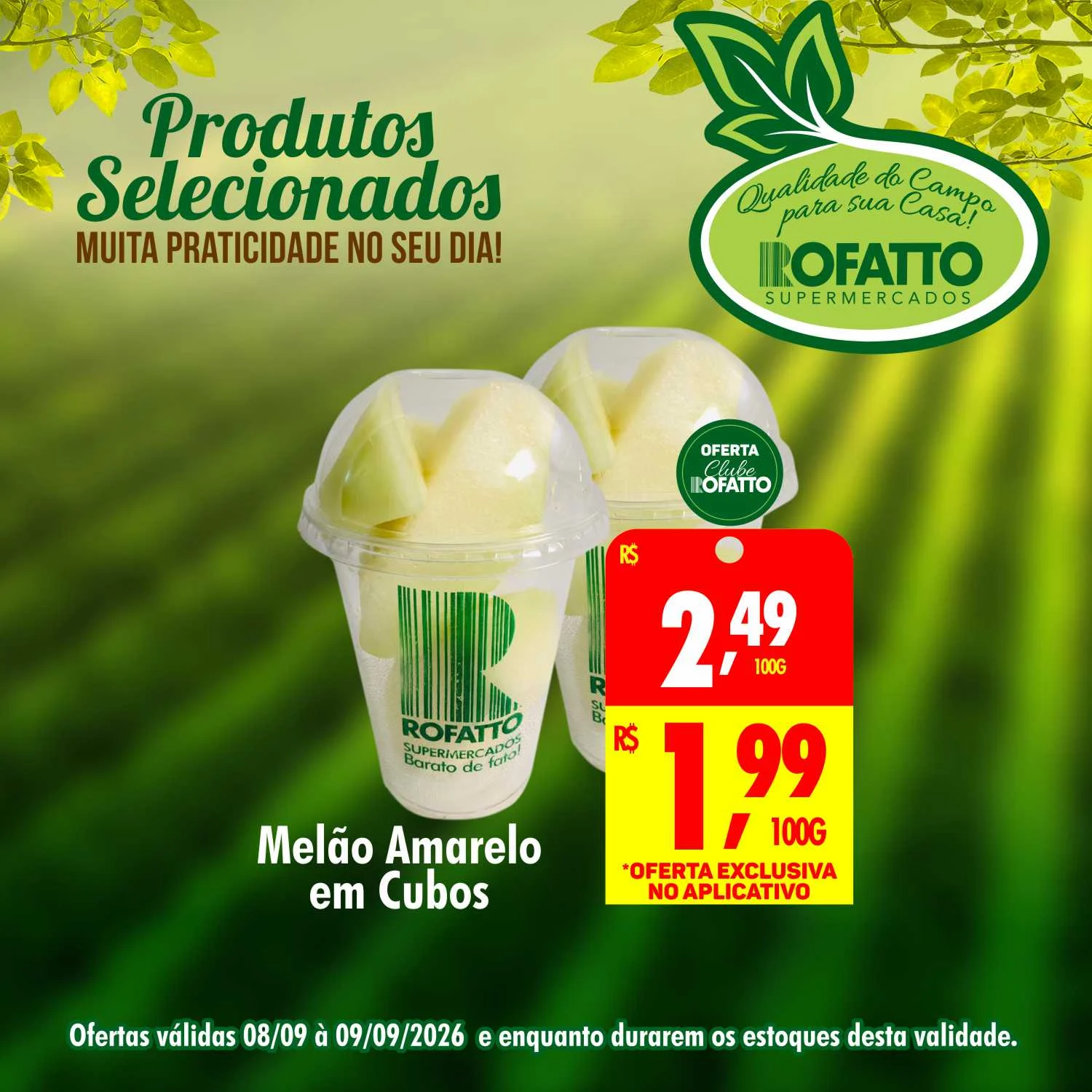 Ofertas Rofatto Supermercados