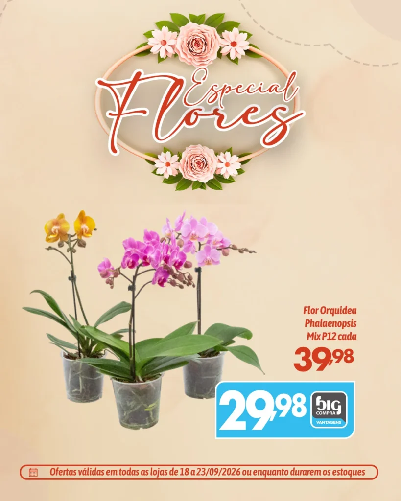 Ofertas Supermercados Big Compra – até 23/09/2026