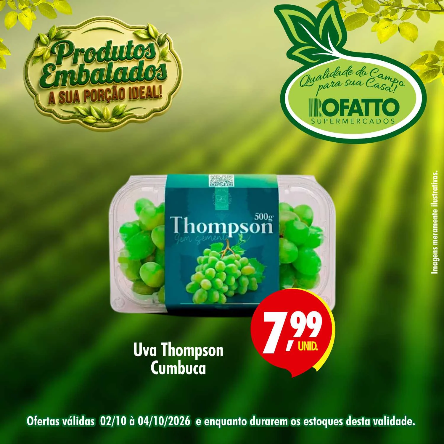 Ofertas Rofatto Supermercados