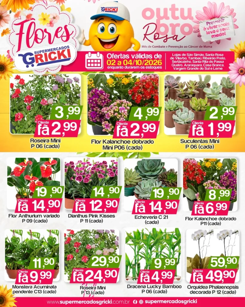 Ofertas Supermercados Gricki – 04/10/2026 Ofertas Supermercados Gricki – 04/10/2026