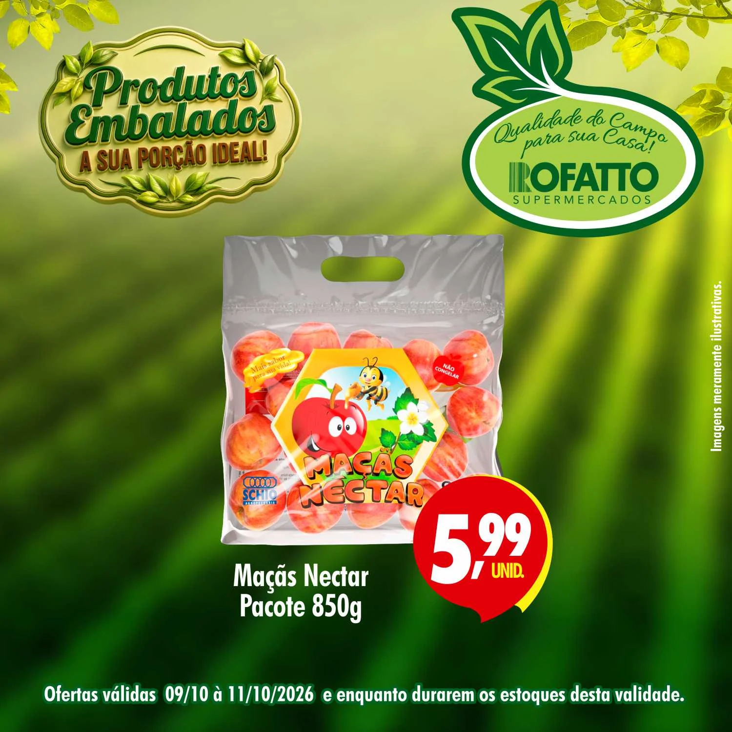 Ofertas Rofatto Supermercados