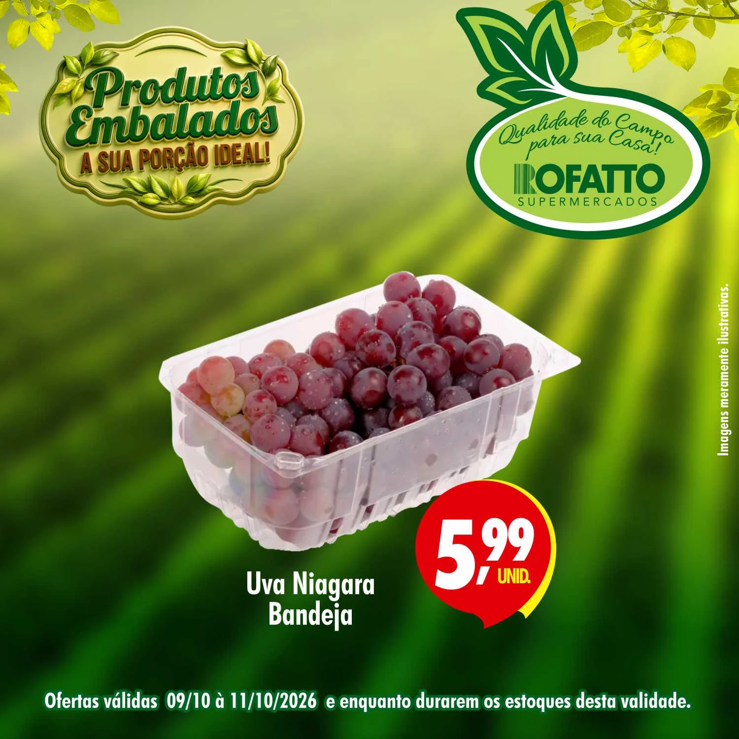 Ofertas Rofatto Supermercados