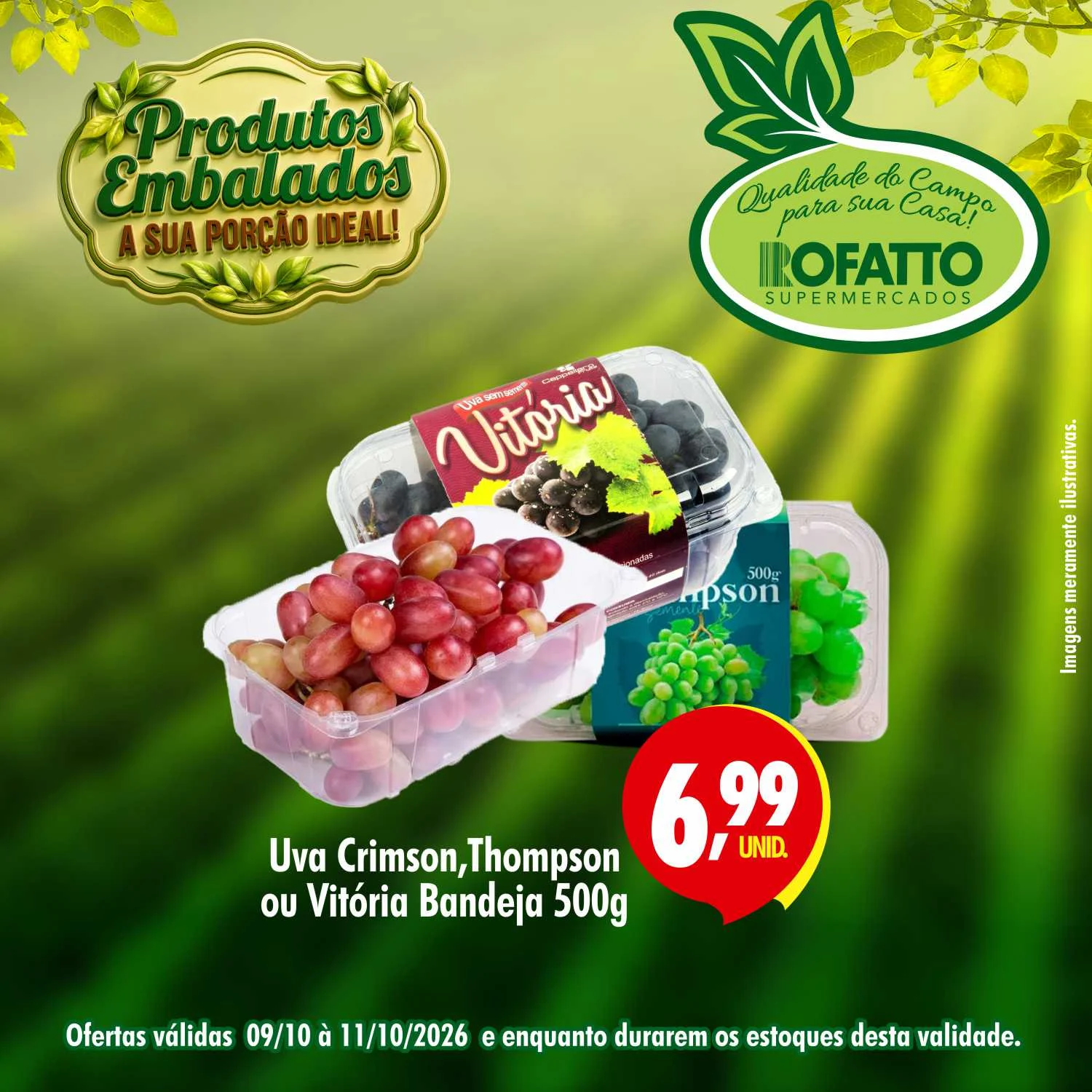Ofertas Rofatto Supermercados