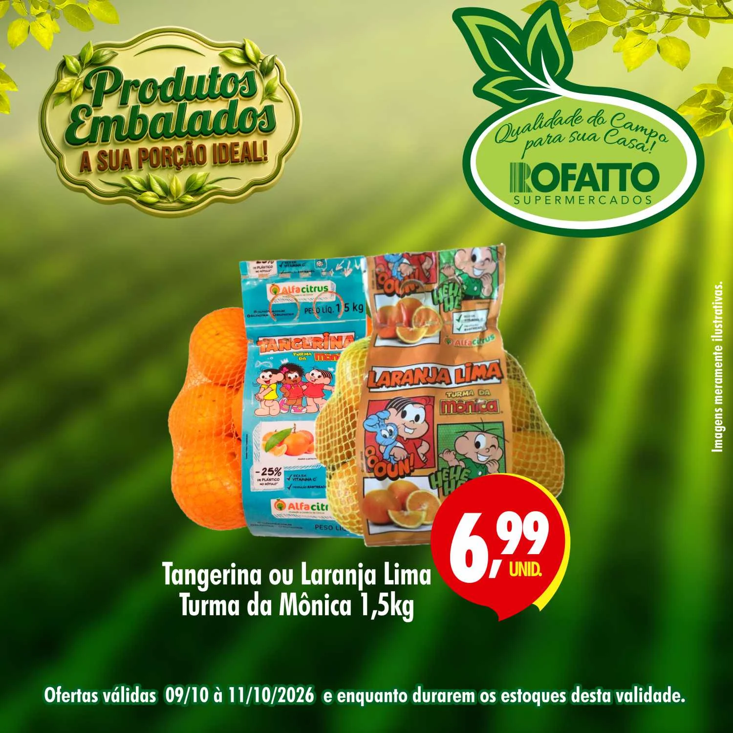 Ofertas Rofatto Supermercados
